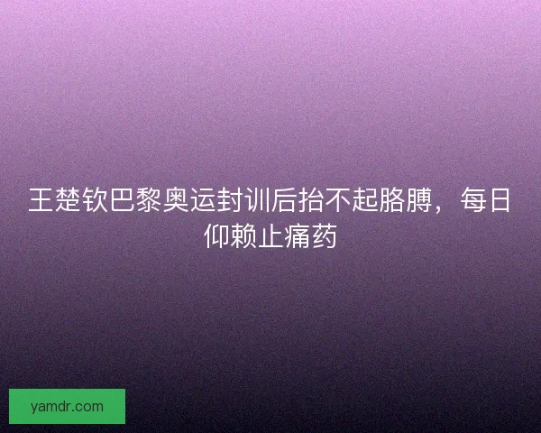 王楚钦巴黎奥运封训后抬不起胳膊，每日仰赖止痛药