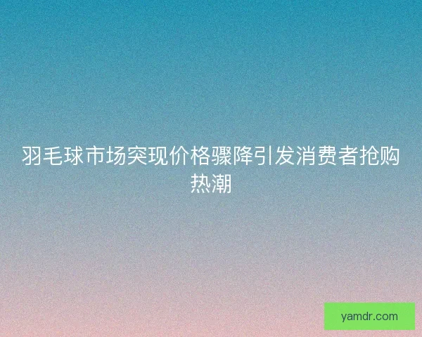 羽毛球市场突现价格骤降引发消费者抢购热潮