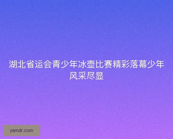 湖北省运会青少年冰壶比赛精彩落幕少年风采尽显